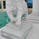 六安 白麻花岗岩动物异形石雕-大象
