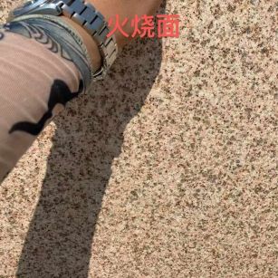 六安黄金麻火烧面